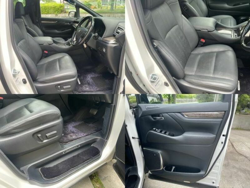 ALPHARD-11