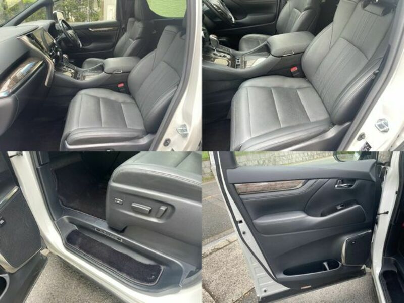 ALPHARD-13