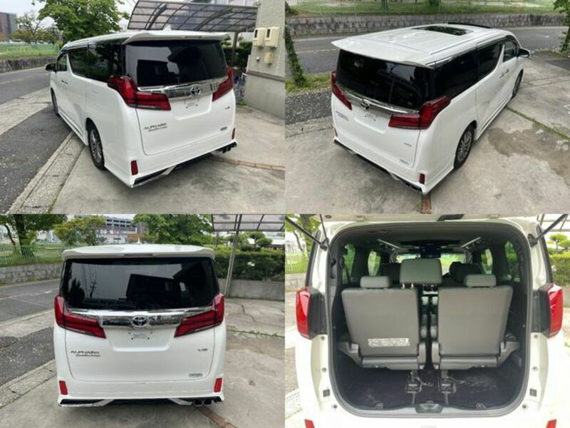 ALPHARD-14