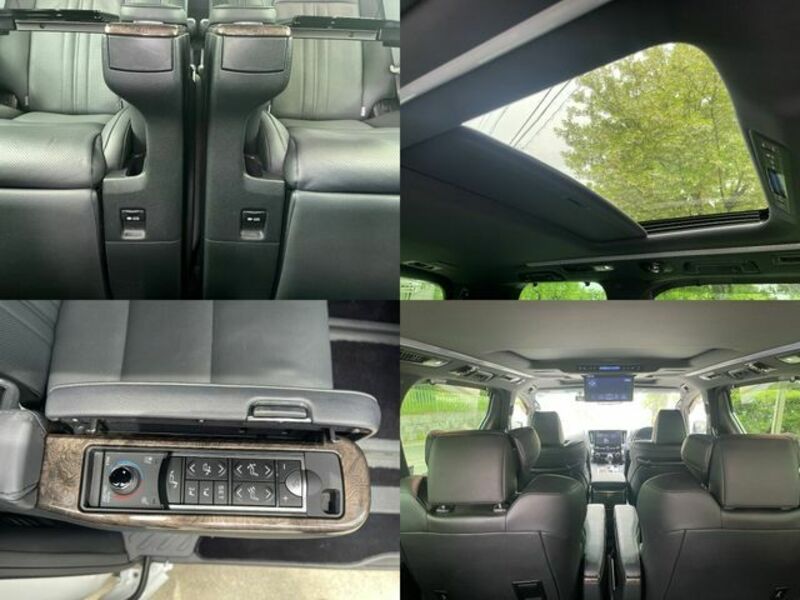 ALPHARD-15
