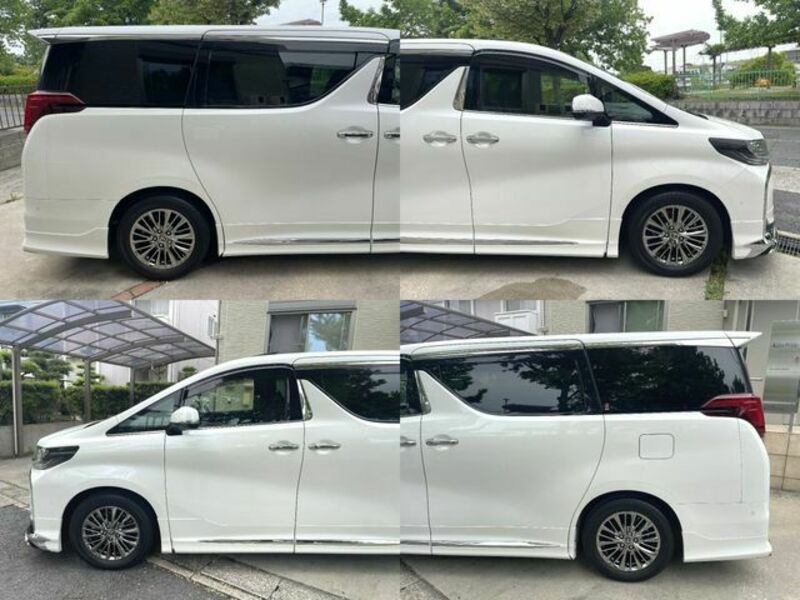 ALPHARD-16