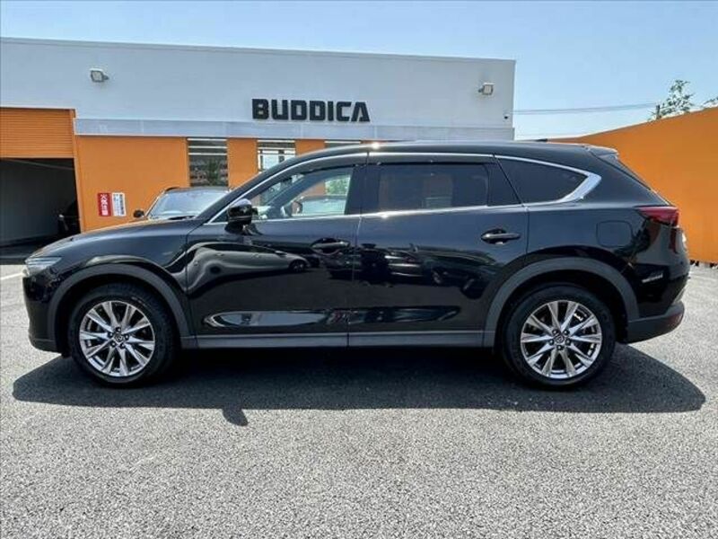 CX-8