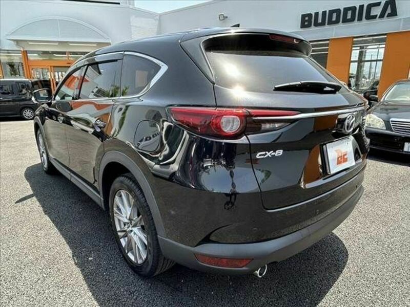 CX-8
