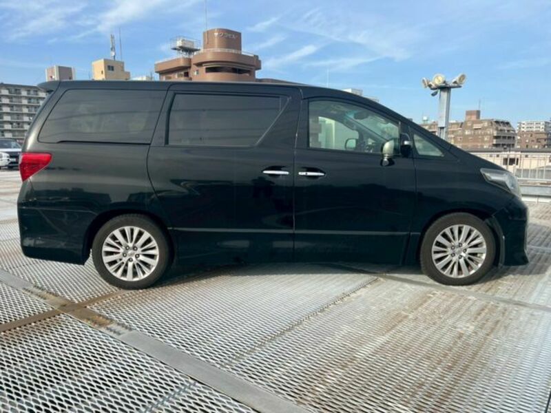 ALPHARD-8