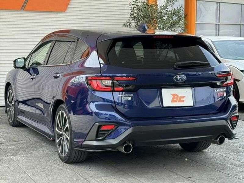 LEVORG