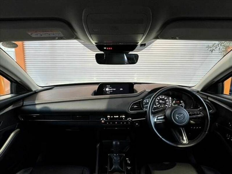 CX-30-1