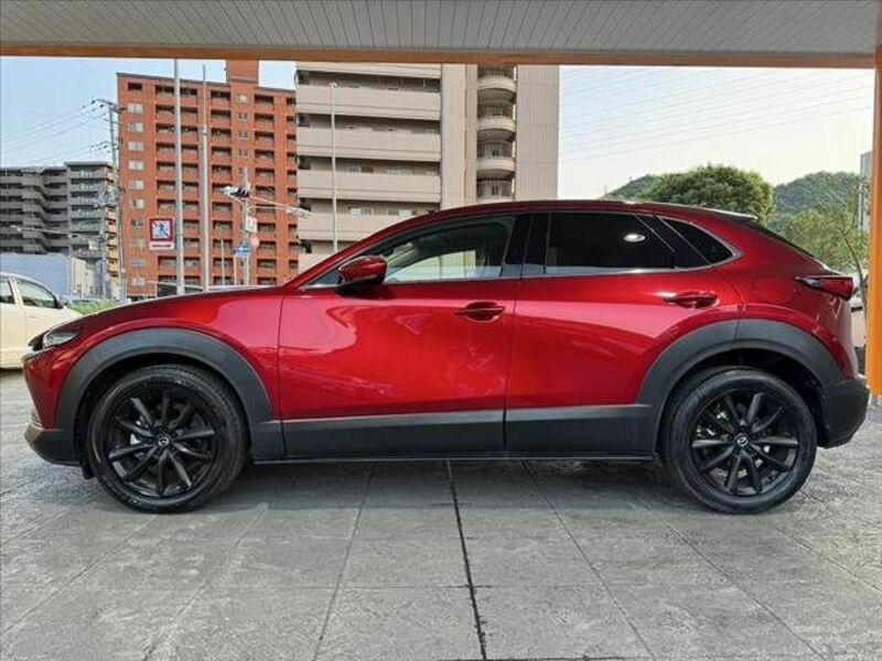 CX-30-10