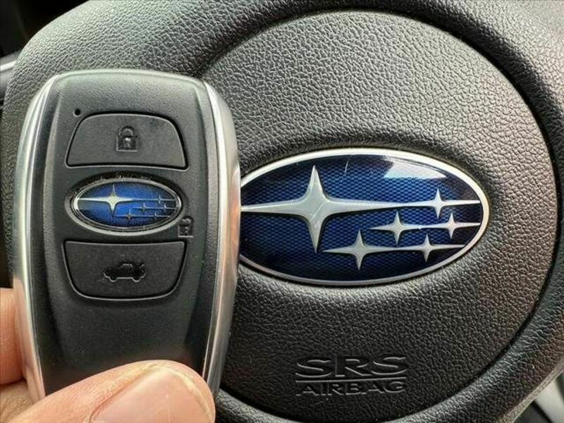 LEVORG-3
