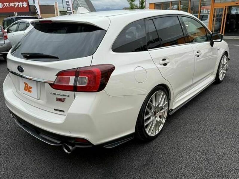 LEVORG-12