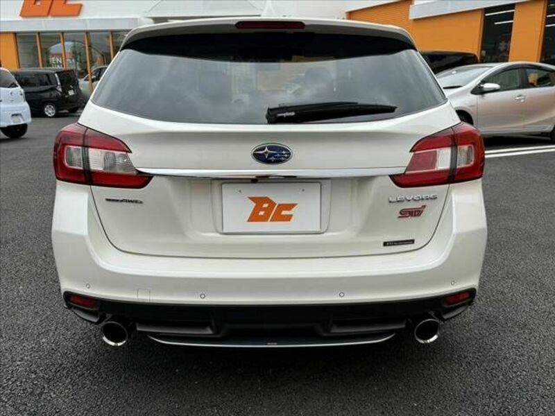 LEVORG-13