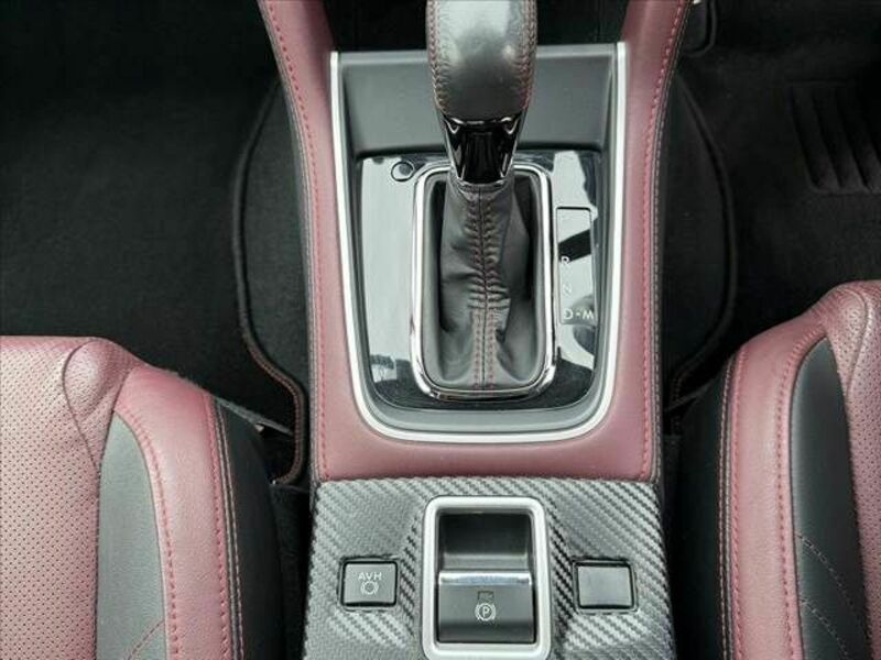 LEVORG-29