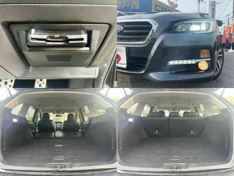 LEVORG