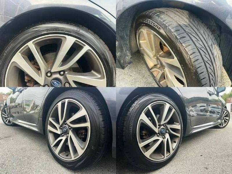 LEVORG