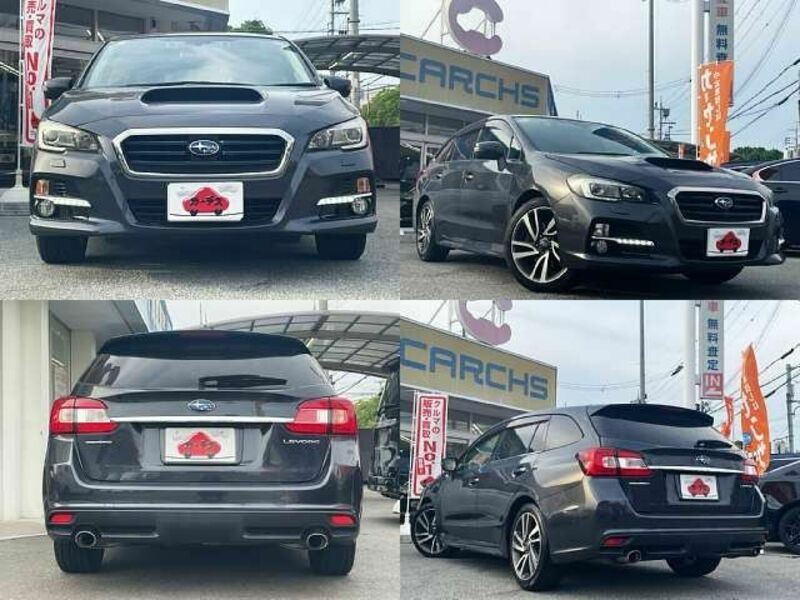 LEVORG