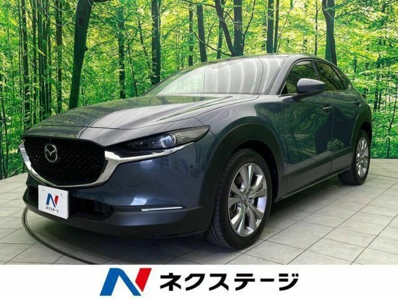 CX-30