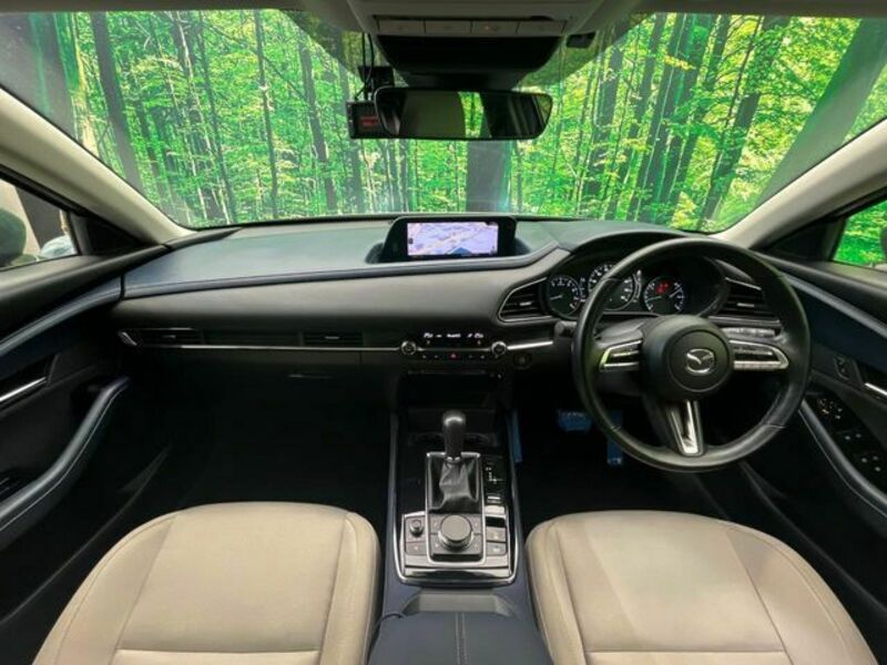 CX-30-1