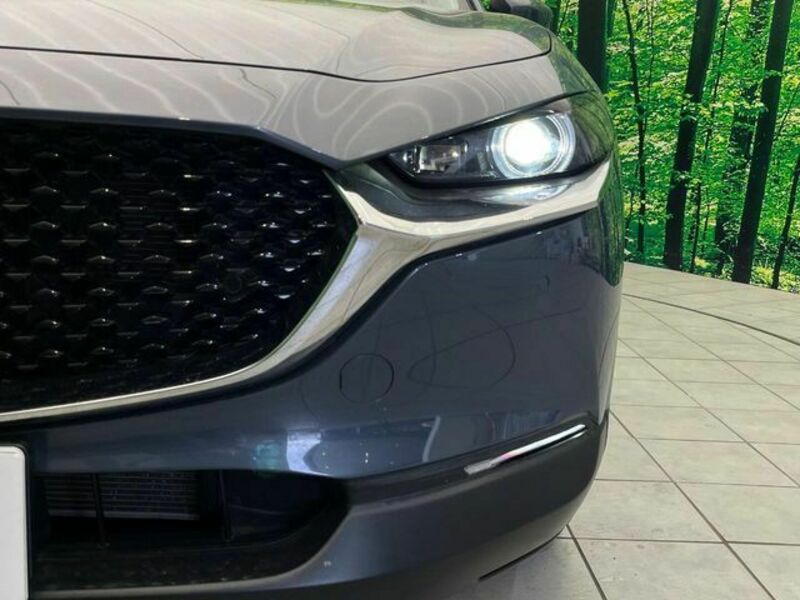 CX-30-12