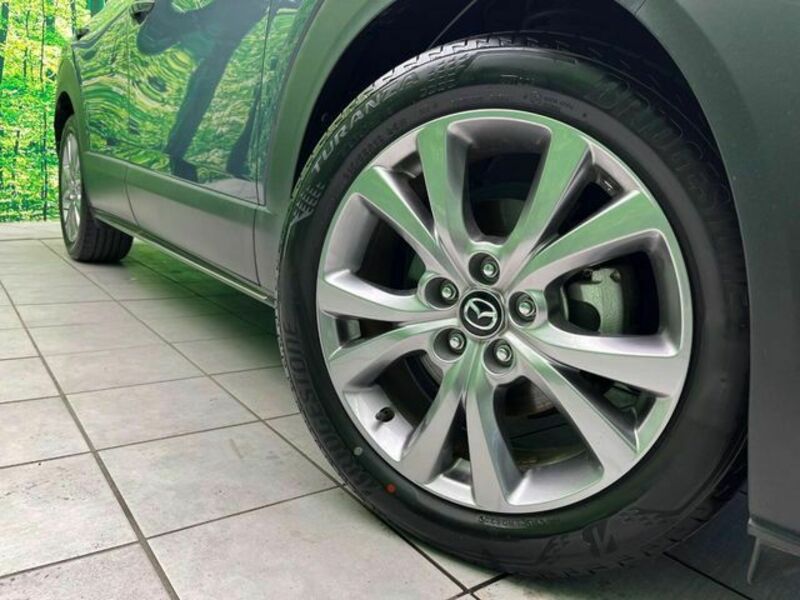 CX-30-13