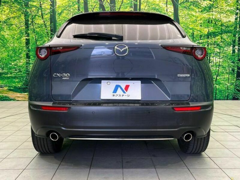 CX-30-15