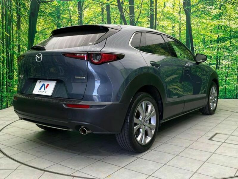 CX-30-17