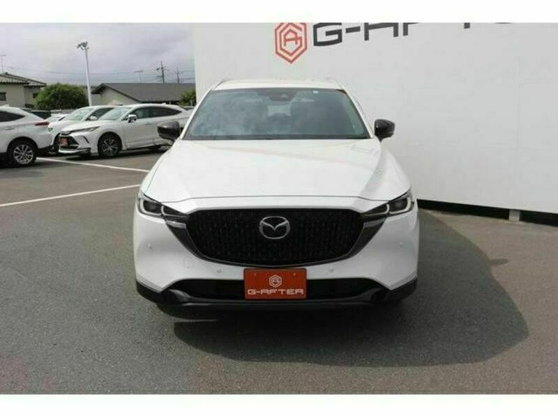 CX-8-6
