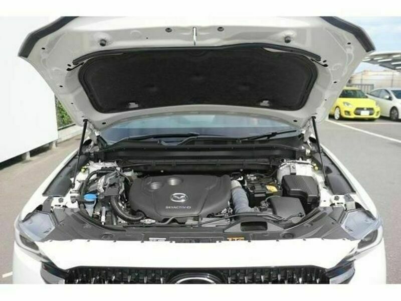 CX-8-18