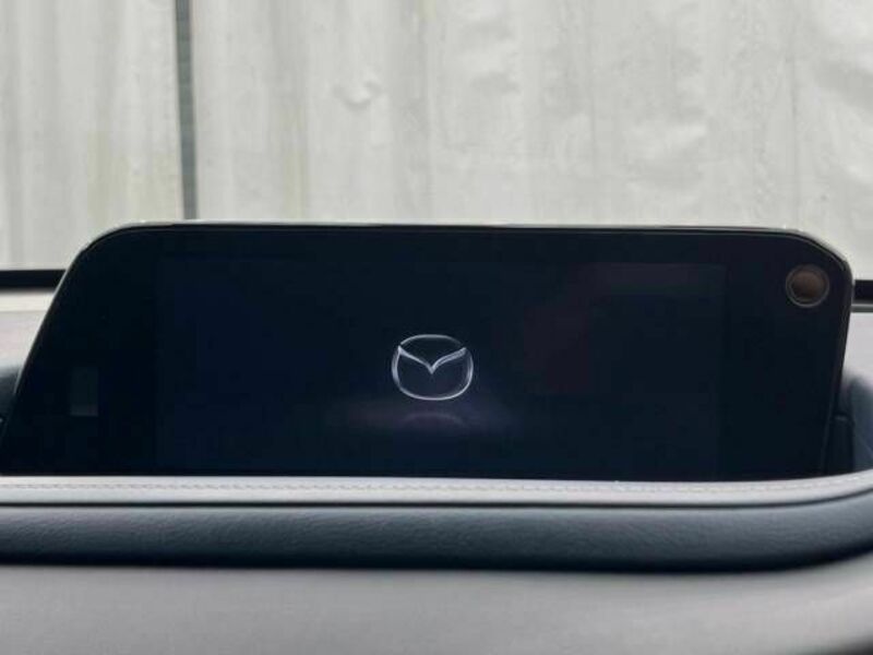 CX-30-3