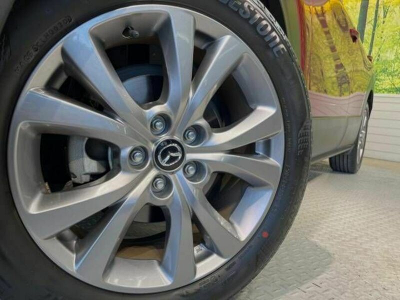 CX-30-13