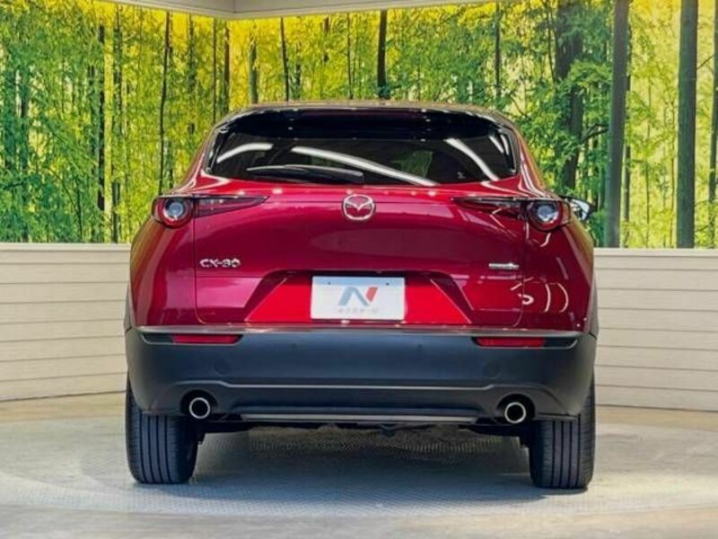 CX-30-15