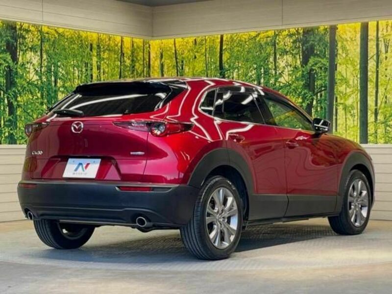 CX-30-17