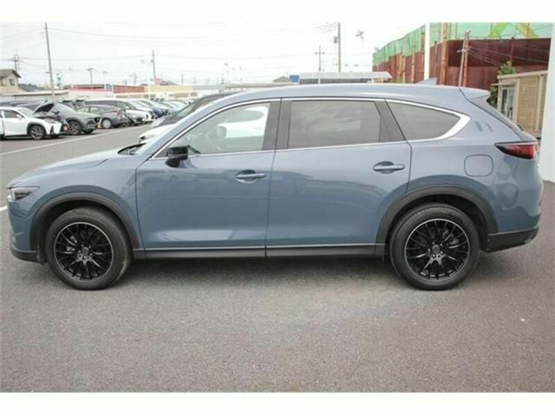CX-8-8