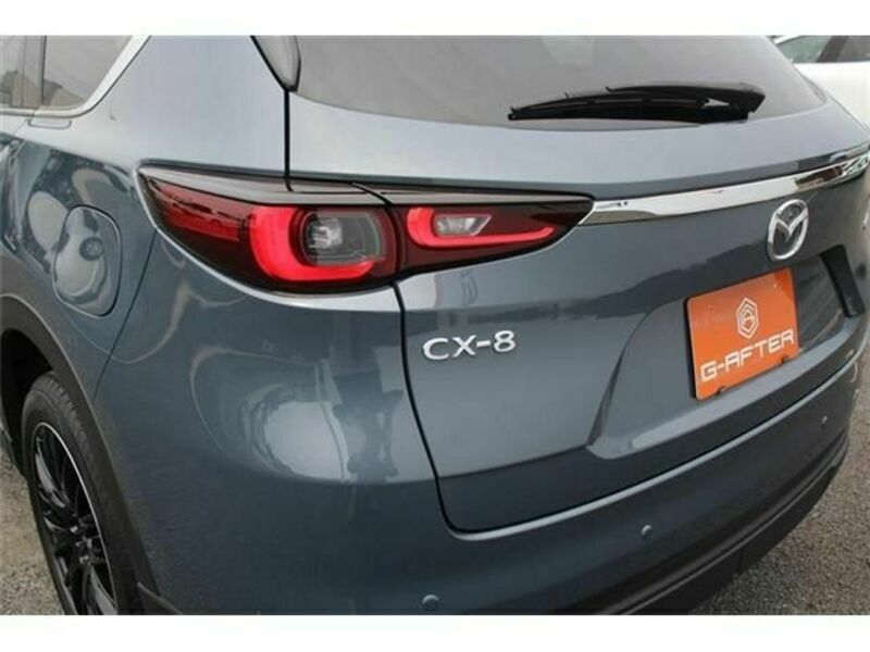 CX-8-13