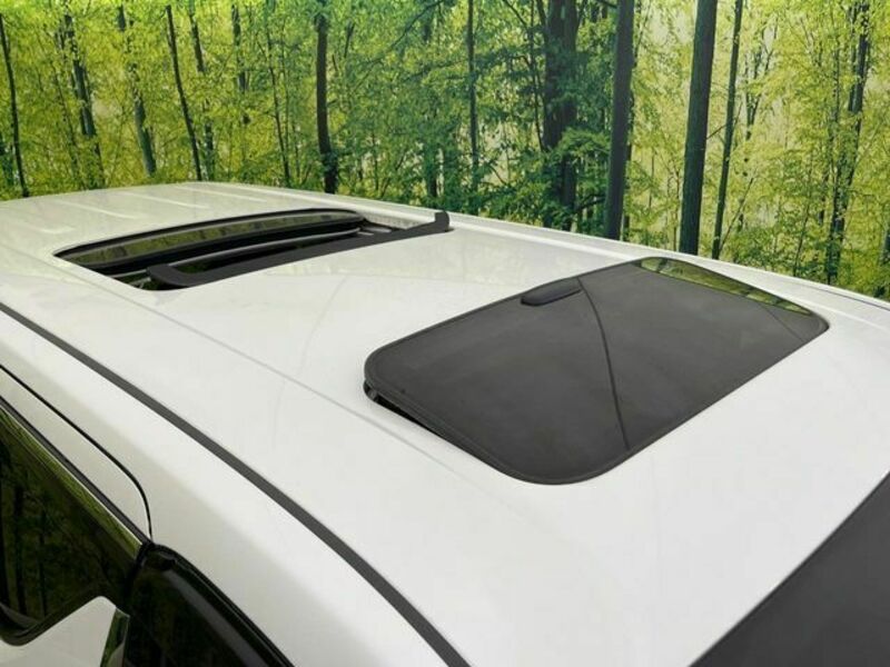 ALPHARD-2