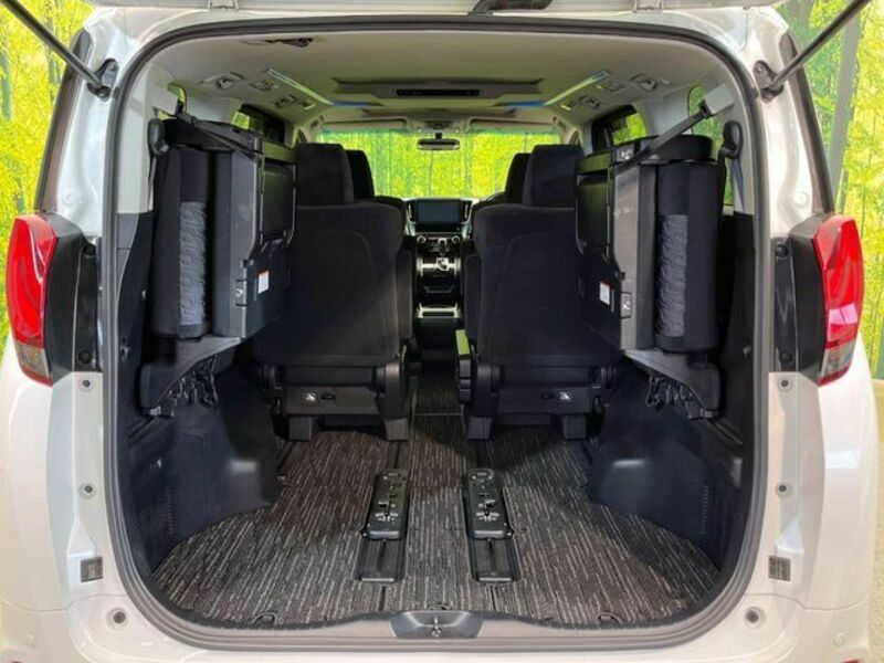 ALPHARD-10