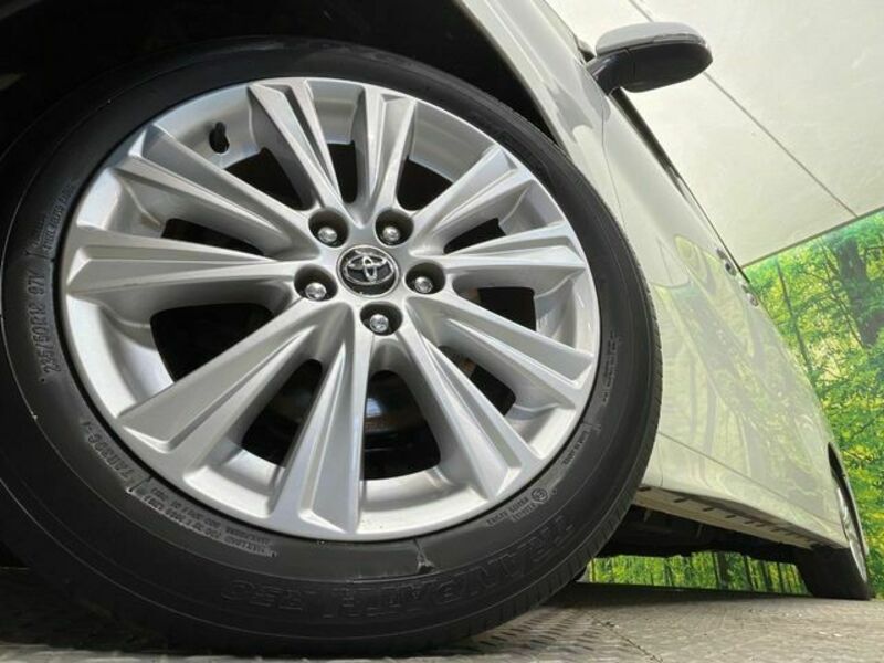 ALPHARD-13