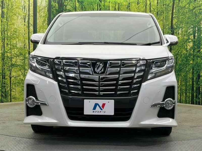 ALPHARD-14