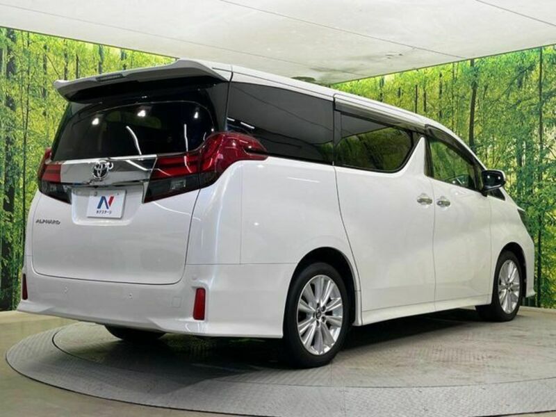 ALPHARD-16