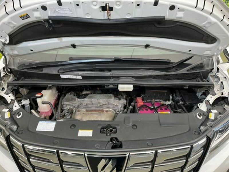ALPHARD-17