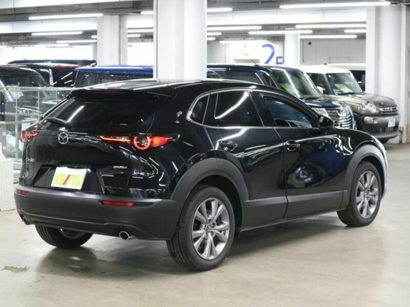 CX-30-1