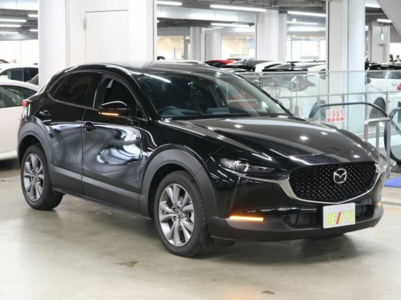 CX-30-3