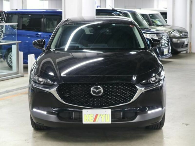 CX-30-4