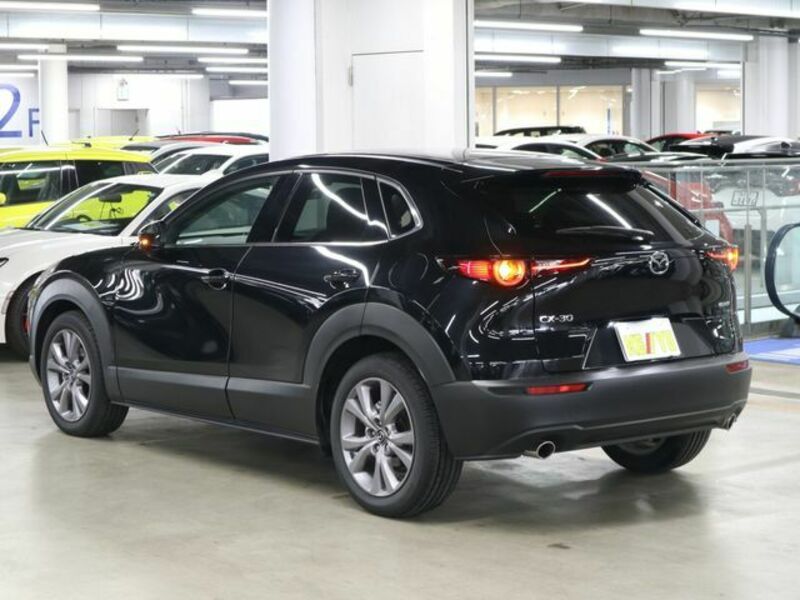 CX-30-6