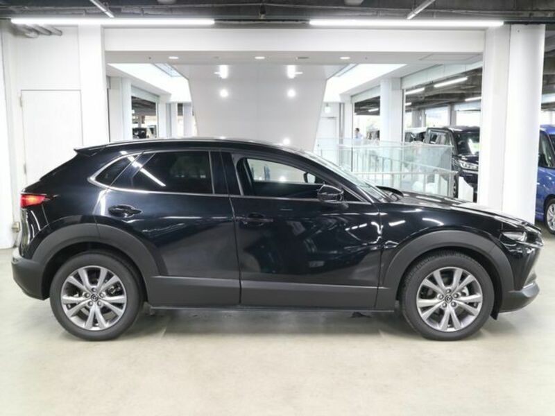 CX-30-7