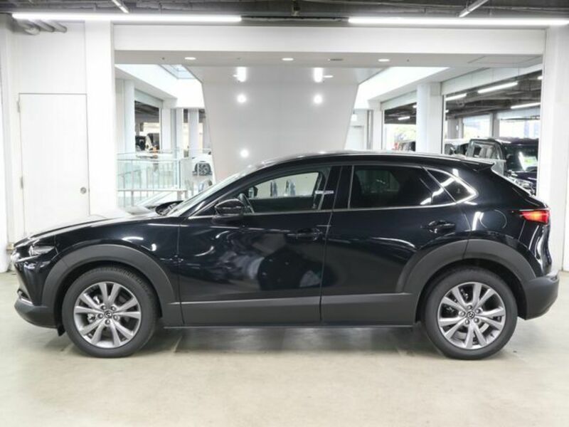 CX-30-8
