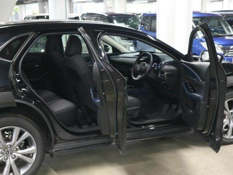 CX-30-10