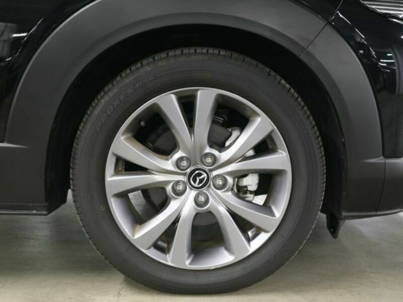 CX-30-29