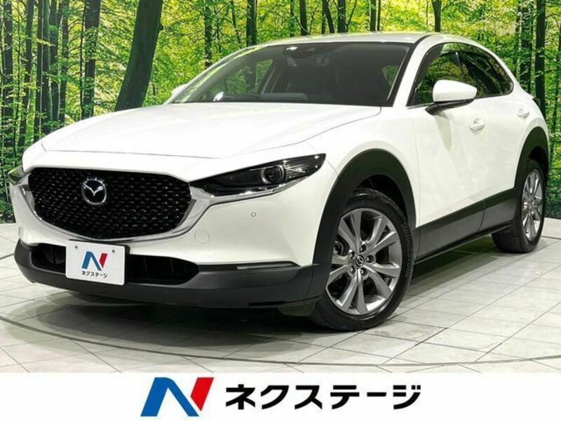 CX-30