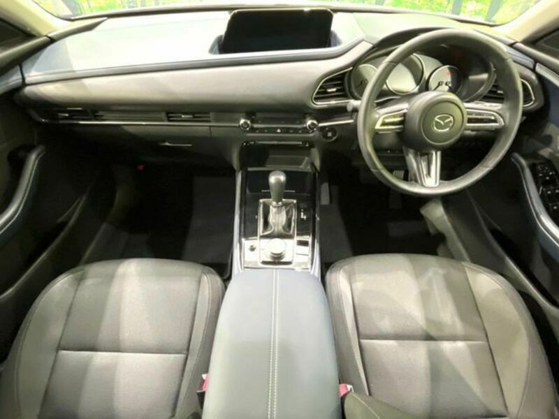 CX-30-1