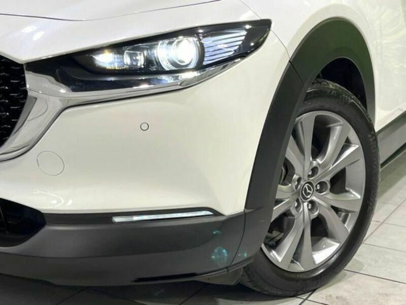 CX-30-10