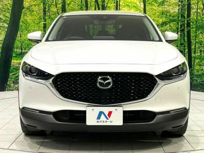 CX-30-12